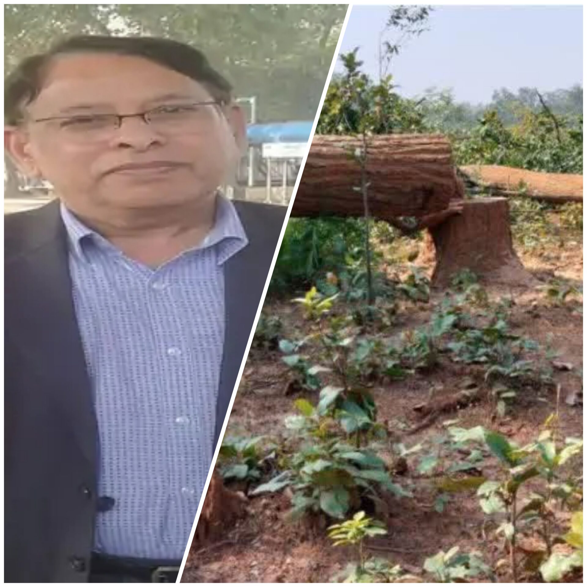 हमें कोयले की आपूर्ति कराये छत्तीसगढ़ सरकार CMD RK Sharma